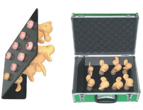 上海宸博宮頸病變與子宮病變教學(xué)模型 精準(zhǔn)醫(yī)療教育的得力助手